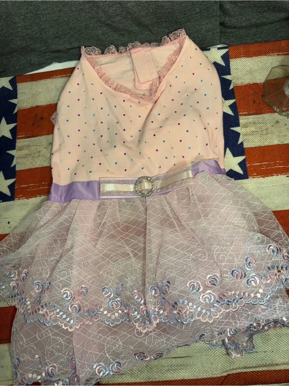 Pink Lace & Tulle Dog Dress with Satin Ribbon